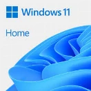 Single windows license for 1 motherboard install.  Windows 11 home