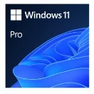 Single windows license for 1 motherboard install.  Windows 11 pro