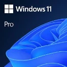 Single windows license for 1 motherboard install.  Windows 11 pro